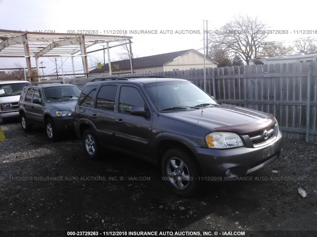 4F2YZ94156KM14310 - 2006 MAZDA TRIBUTE S GRAY photo 6