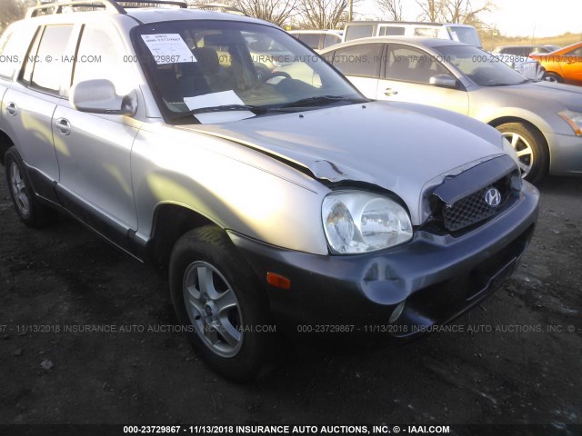 KM8SC13D84U784717 - 2004 HYUNDAI SANTA FE GLS/LX SILVER photo 6