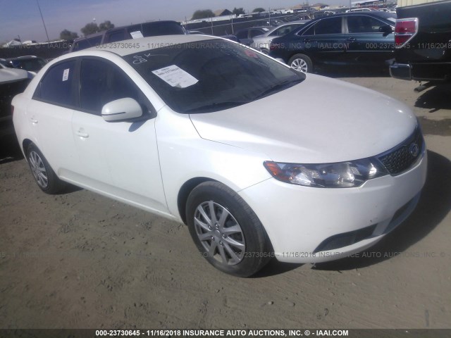 KNAFU4A24D5737410 - 2013 KIA FORTE EX WHITE photo 1