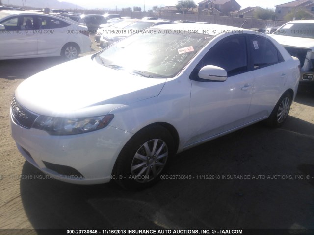 KNAFU4A24D5737410 - 2013 KIA FORTE EX WHITE photo 2