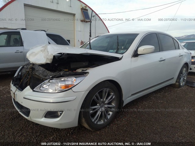 KMHGC4DF6BU114104 - 2011 HYUNDAI GENESIS 4.6L WHITE photo 2