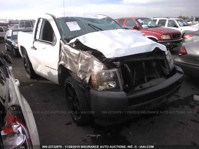 1GCEC14X08Z107891 - 2008 CHEVROLET SILVERADO C1500 WHITE photo 1