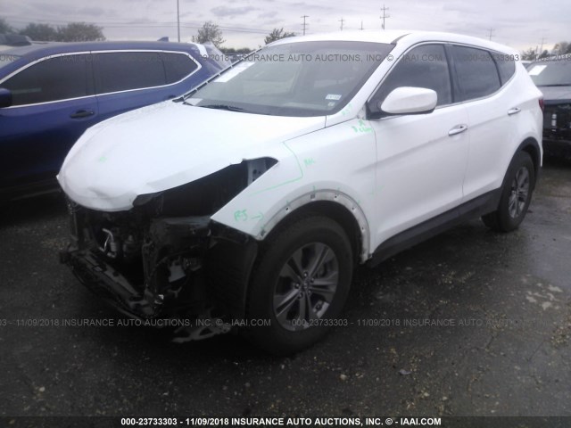 5XYZT3LB2EG130554 - 2014 HYUNDAI SANTA FE SPORT  WHITE photo 2