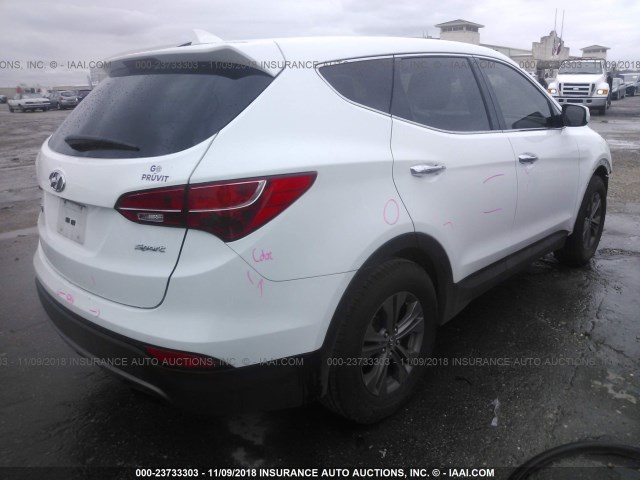 5XYZT3LB2EG130554 - 2014 HYUNDAI SANTA FE SPORT  WHITE photo 4