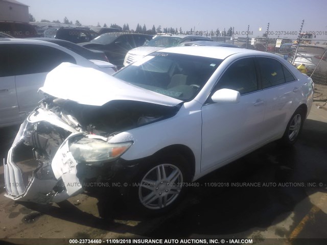 4T1BF3EK0AU560125 - 2010 TOYOTA CAMRY SE/LE/XLE WHITE photo 2