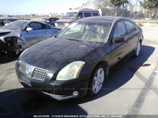 1N4BA41E56C824757 - 2006 NISSAN MAXIMA SE/SL BLACK photo 2