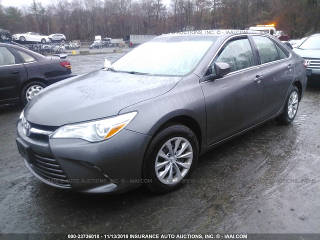 4T4BF1FK1GR575363 - 2016 TOYOTA CAMRY LE/XLE/SE/XSE GRAY photo 2