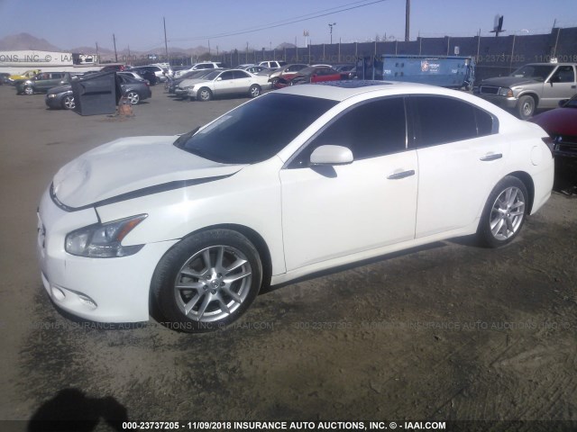 1N4AA51E69C845185 - 2009 NISSAN MAXIMA S/SV WHITE photo 2