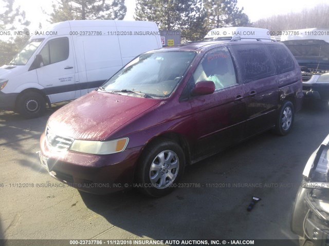 5FNRL18704B106106 - 2004 HONDA ODYSSEY EXL RED photo 2