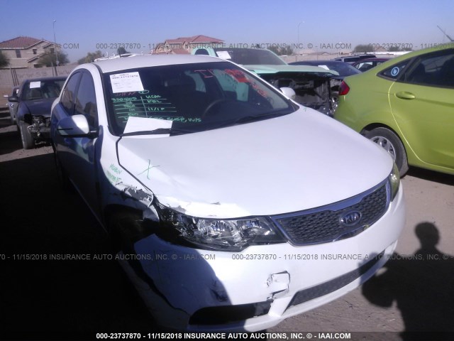 KNAFU4A24D5662630 - 2013 KIA FORTE EX WHITE photo 6