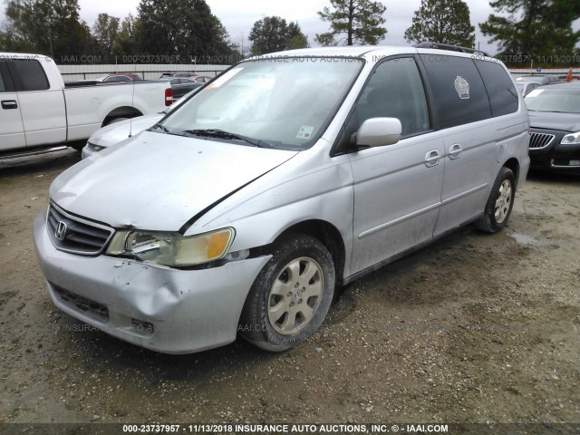 5FNRL18063B099163 - 2003 HONDA ODYSSEY EXL SILVER photo 2