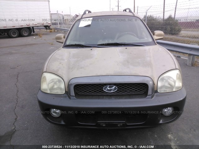 KM8SC13EX4U663793 - 2004 HYUNDAI SANTA FE GLS/LX GOLD photo 6