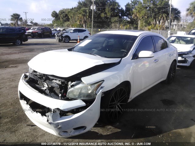 1N4AA5AP8EC459752 - 2014 NISSAN MAXIMA S/SV WHITE photo 2