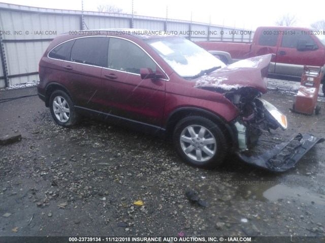 JHLRE38738C055860 - 2008 HONDA CR-V EXL MAROON photo 1