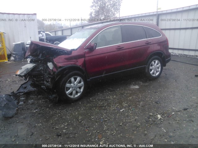 JHLRE38738C055860 - 2008 HONDA CR-V EXL MAROON photo 2