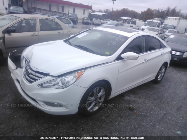 5NPEC4ACXDH552854 - 2013 HYUNDAI SONATA SE/LIMITED WHITE photo 2