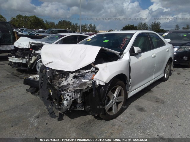 4T1BF1FK3DU222094 - 2013 TOYOTA CAMRY L/SE/LE/XLE თეთრი ფოტო 2