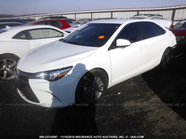 4T1BF1FK0HU442315 - 2017 TOYOTA CAMRY LE/XLE/SE/XSE WHITE photo 2