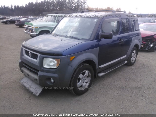 5J6YH28623L033286 - 2003 HONDA ELEMENT EX BLUE photo 2