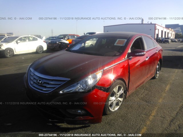 5NPEC4AC3DH721631 - 2013 HYUNDAI SONATA SE/LIMITED RED photo 2