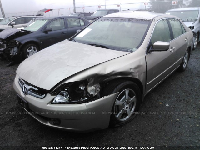 JHMCN36485C012122 - 2005 HONDA ACCORD HYBRID GOLD photo 2