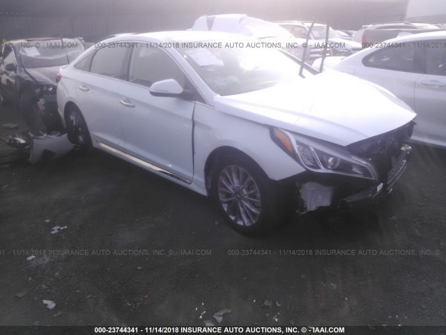 5NPE34AF0FH079009 - 2015 HYUNDAI SONATA SPORT/LIMITED WHITE photo 6