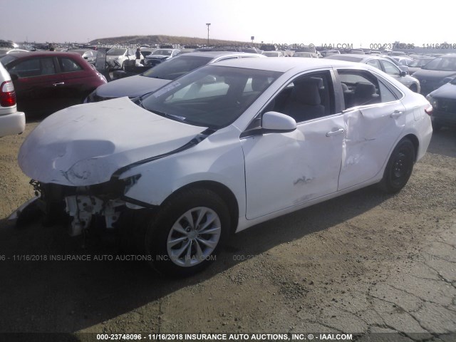 4T4BF1FK5GR561420 - 2016 TOYOTA CAMRY LE/XLE/SE/XSE WHITE photo 2