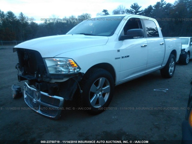 1D7RB1CT4AS138889 - 2010 DODGE RAM 1500 WHITE photo 2