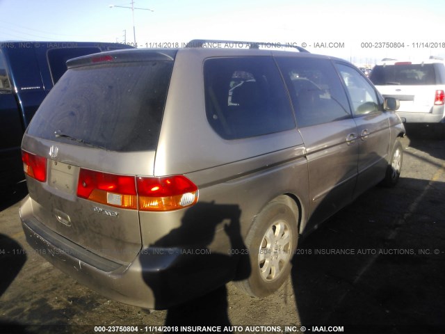 5FNRL18084B043288 - 2004 HONDA ODYSSEY EXL TAN photo 4