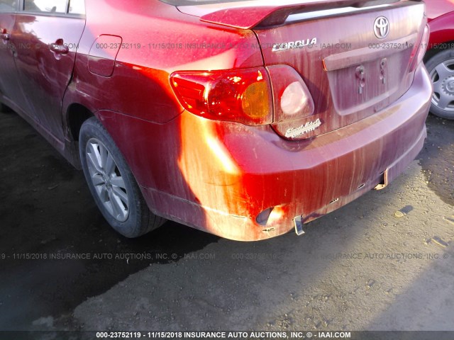 2T1BU4EE5AC445494 - 2010 TOYOTA COROLLA S/LE/XLE RED photo 6