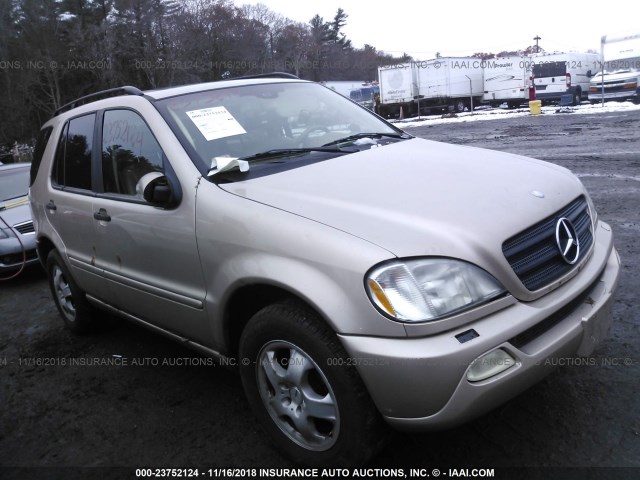 4JGAB54E42A298661 - 2002 MERCEDES-BENZ ML 320 GOLD photo 1