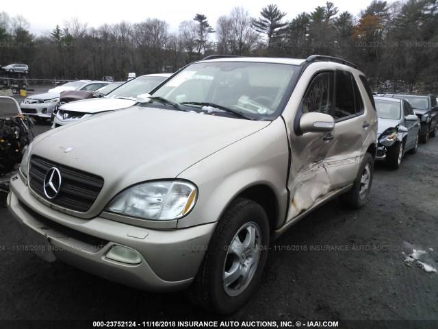 4JGAB54E42A298661 - 2002 MERCEDES-BENZ ML 320 GOLD photo 2