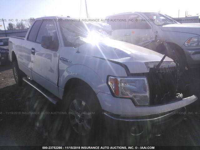 1FTFX1EFXDFB95990 - 2013 FORD F150 SUPER CAB WHITE photo 1