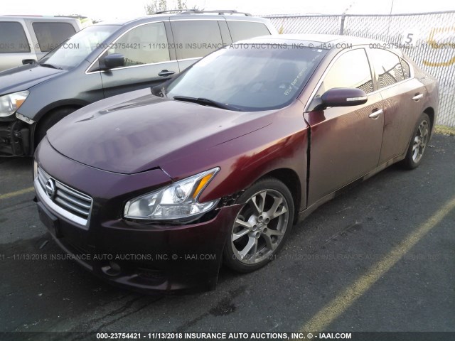 1N4AA5AP5DC809630 - 2013 NISSAN MAXIMA S/SV RED photo 2