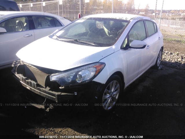 KNAFX5A80F5302131 - 2015 KIA FORTE EX WHITE photo 2