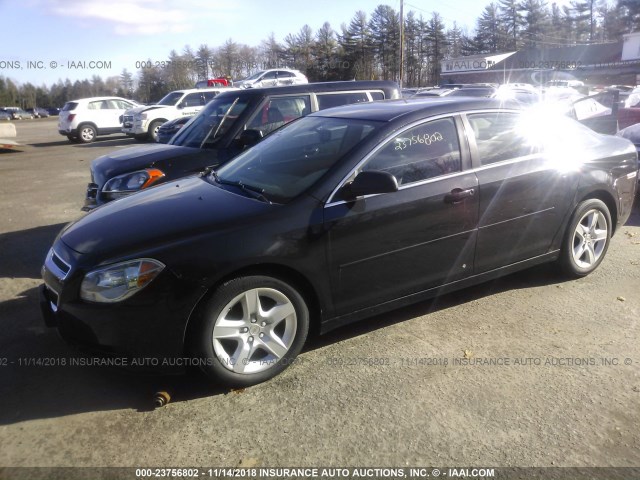 1G1ZA5E13BF153967 - 2011 CHEVROLET MALIBU 黑色 照片 2