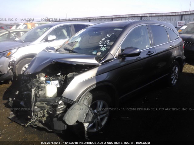 5J6RE4H74AL001812 - 2010 HONDA CR-V EXL BROWN photo 2