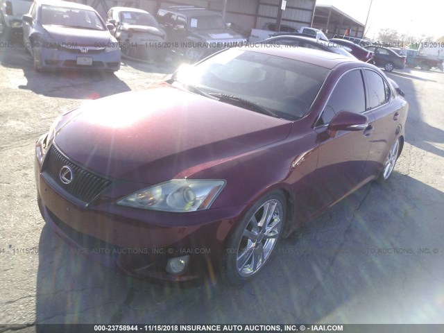 JTHBK262192090444 - 2009 LEXUS IS 250 RED photo 2