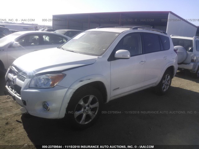 2T3DK4DV0AW015054 - 2010 TOYOTA RAV4 LIMITED WHITE photo 2