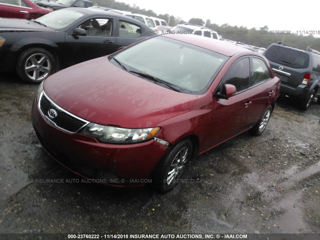 KNAFU4A20B5409964 - 2011 KIA FORTE EX RED photo 2