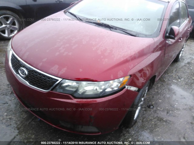 KNAFU4A20B5409964 - 2011 KIA FORTE EX RED photo 6