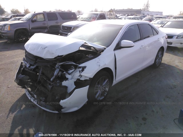 4T1BF1FK1HU303097 - 2017 TOYOTA CAMRY LE/XLE/SE/XSE WHITE photo 2