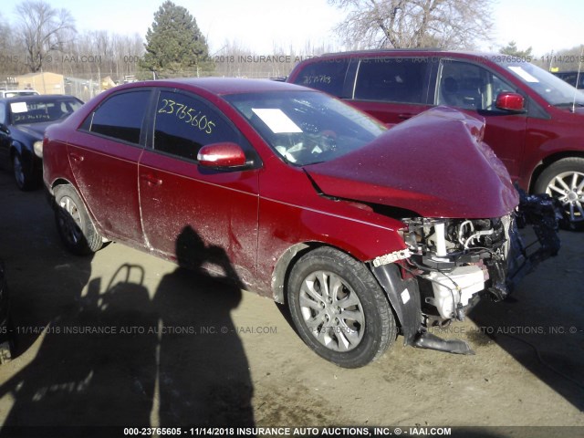 KNAFU4A21A5066421 - 2010 KIA FORTE EX RED photo 1