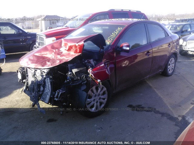 KNAFU4A21A5066421 - 2010 KIA FORTE EX RED photo 2