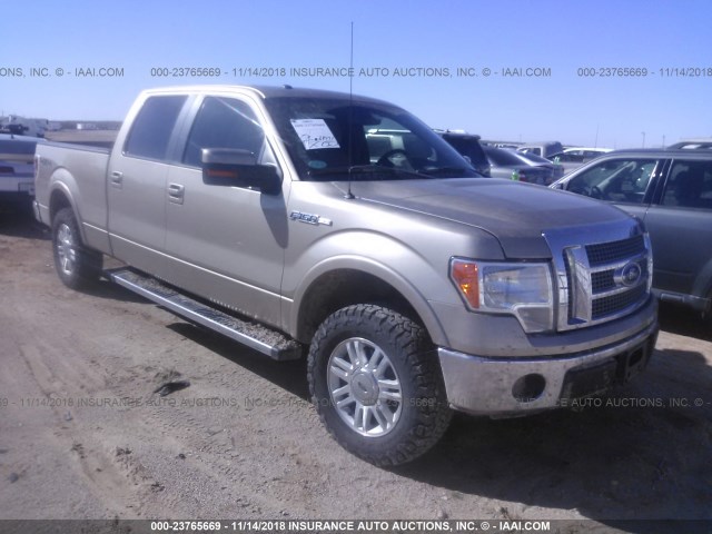 1FTFW1EF1CFD08565 - 2012 FORD F150 SUPERCREW Qəhvəyi foto 1