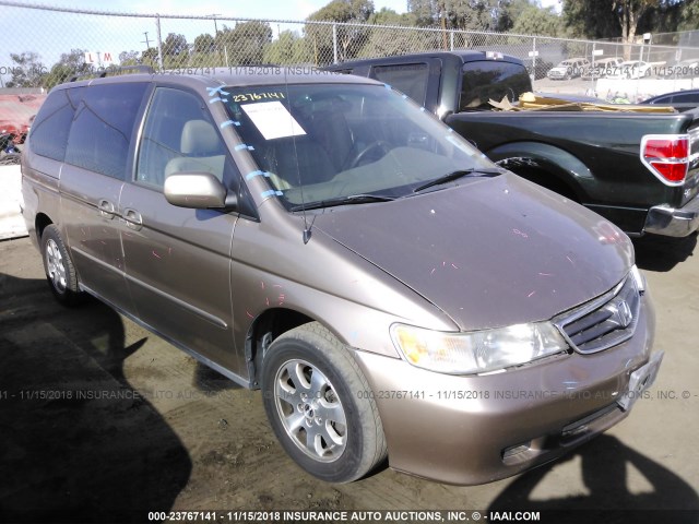 5FNRL18053B143119 - 2003 HONDA ODYSSEY EXL GOLD photo 1