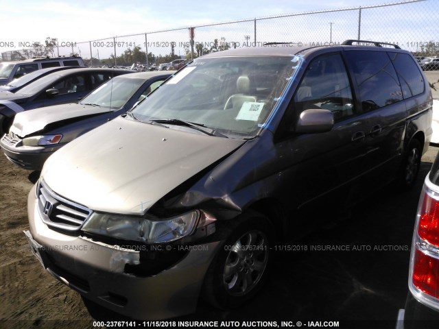 5FNRL18053B143119 - 2003 HONDA ODYSSEY EXL GOLD photo 2