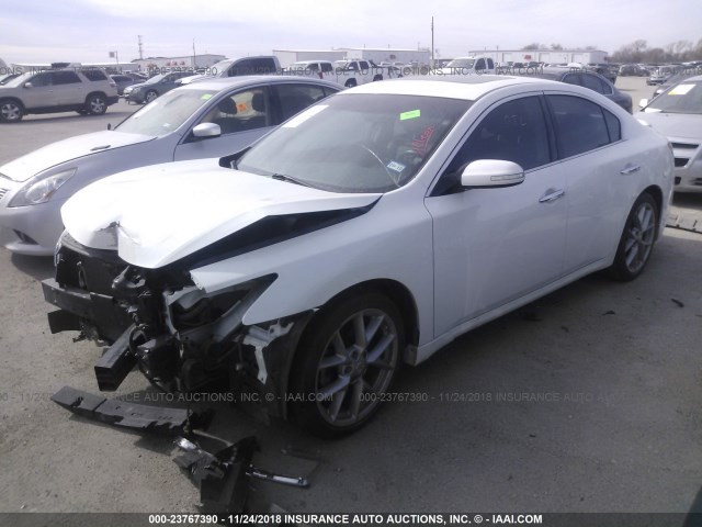 1N4AA5AP8BC806329 - 2011 NISSAN MAXIMA S/SV WHITE photo 2