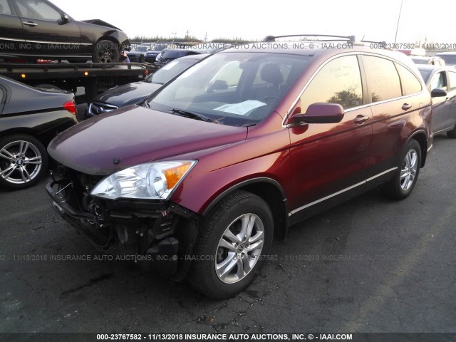 JHLRE4H78BC018106 - 2011 HONDA CR-V EXL RED photo 2