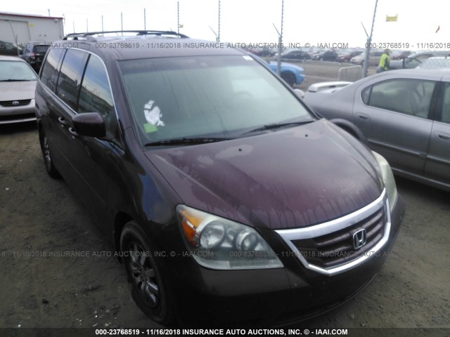 5FNRL38789B409671 - 2009 HONDA ODYSSEY EXL BURGUNDY photo 1